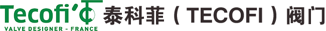 泰科菲（TECOFI）阀门